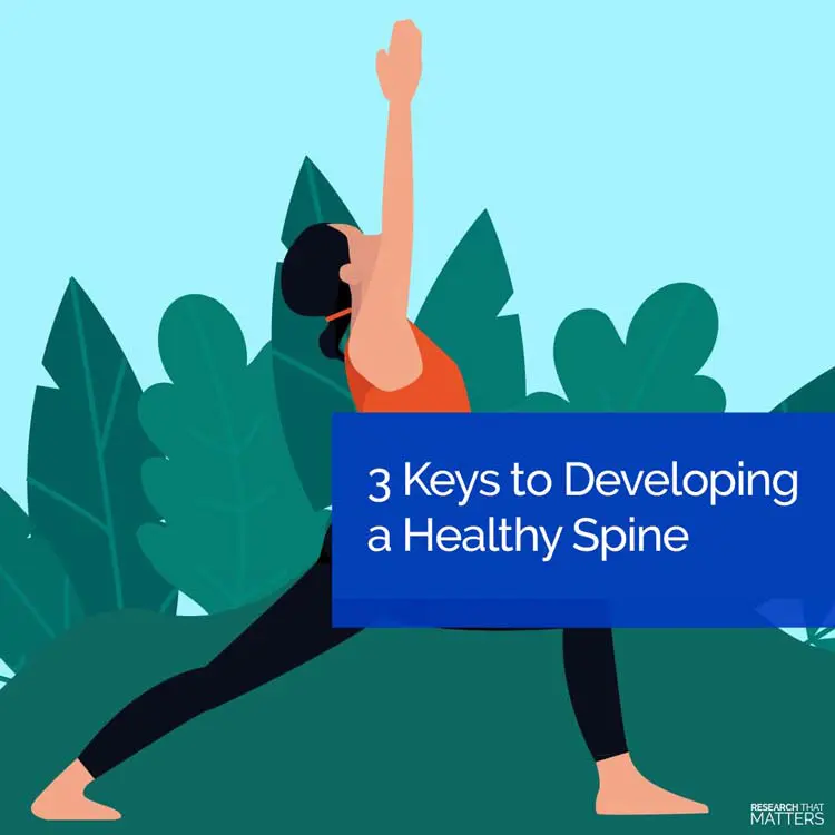 Chiropractic Kissimmee FL Developing a Healthy Spine