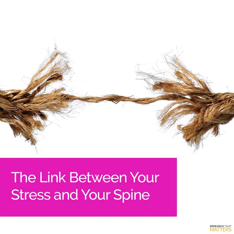 Chiropractic Kissimmee FL Link Between Stress and Your Spine