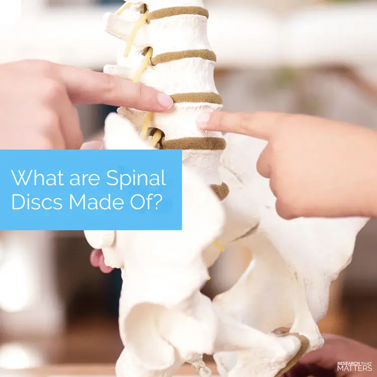 Chiropractic Kissimmee FL What Are Spinal Discs Made Of