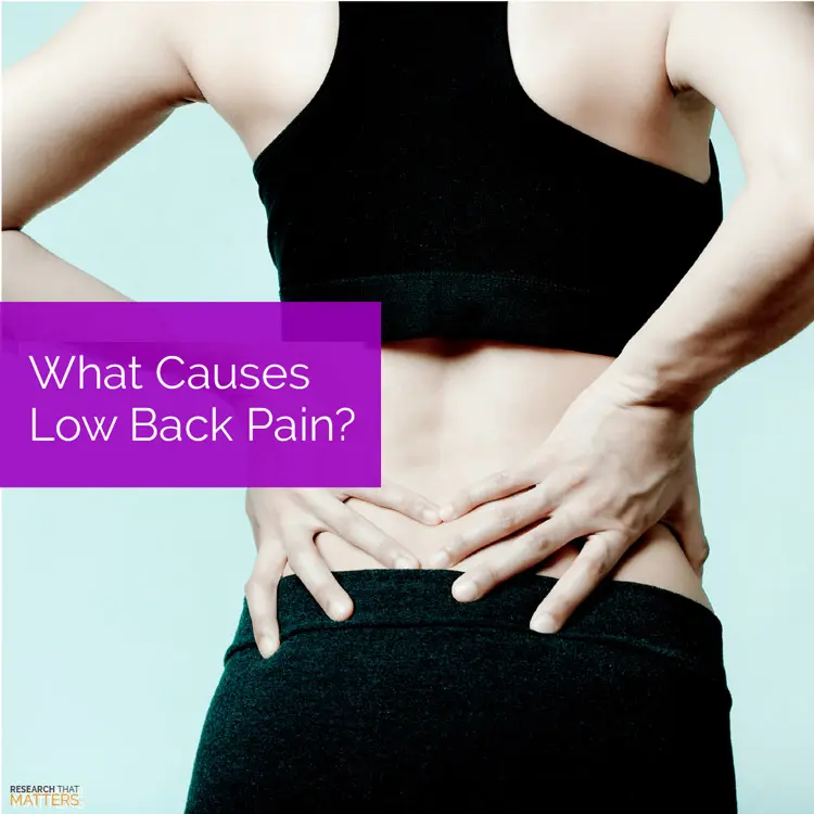 Chiropractic Kissimmee FL What Causes Low Back Pain